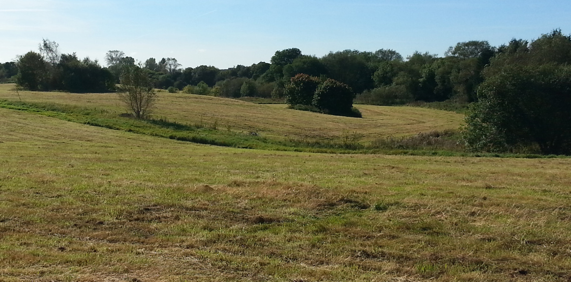 Amington Golf Club